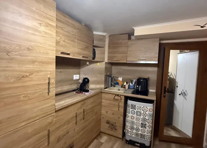 студио-джени בורגאס