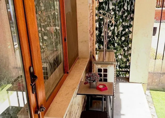 студио-джени בורגאס